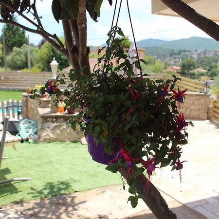 Apartament Vall De Montserrat Castellbell i Vilar Экстерьер фото